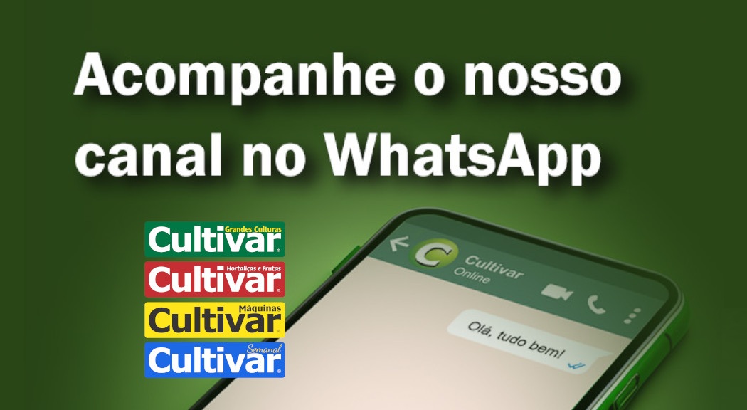 acessar grupo whatsapp